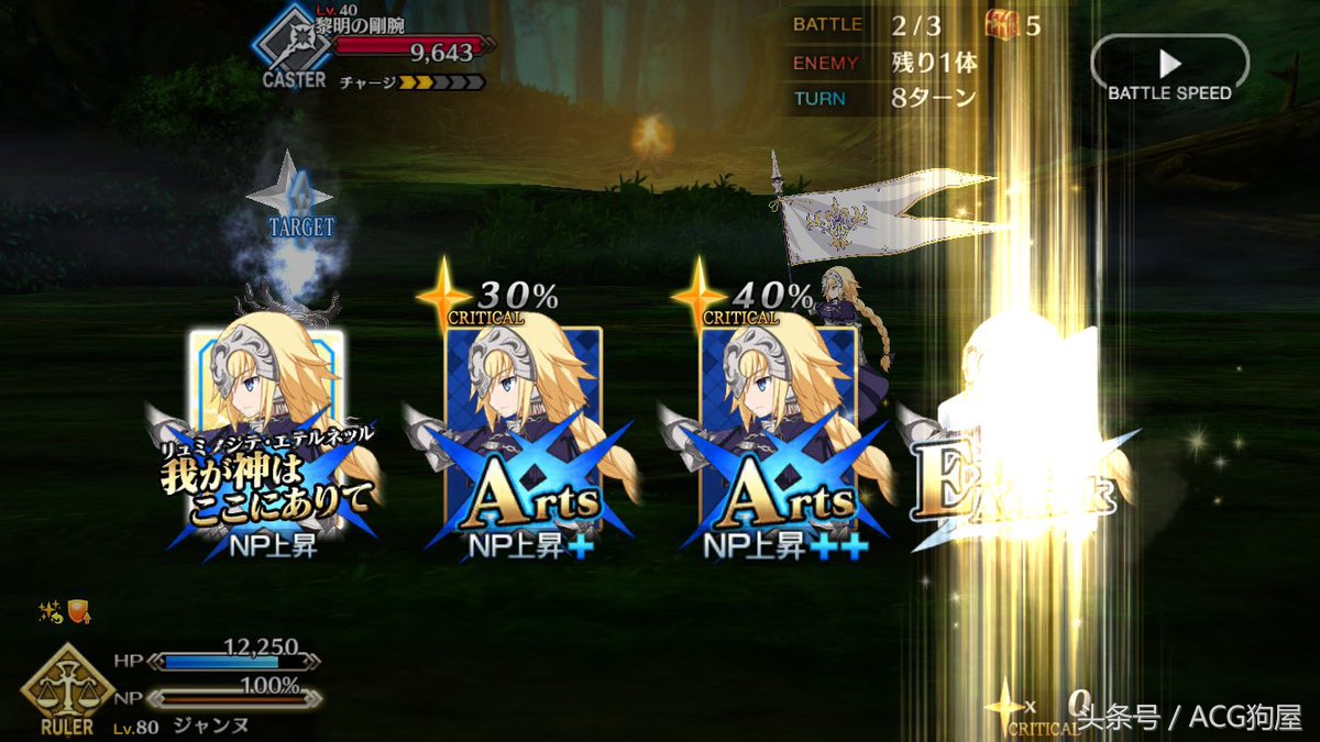 fgo贞德fate宝具,fgo贞德剧情