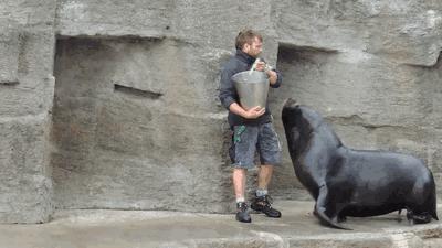 喜欢海飞丝的味道,海飞丝什么味道比较香