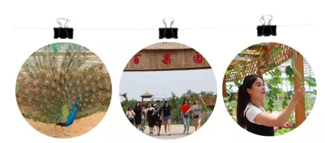 山东省夏津县德百温泉度假村攻略,夏津德百温泉冬天可以去吗