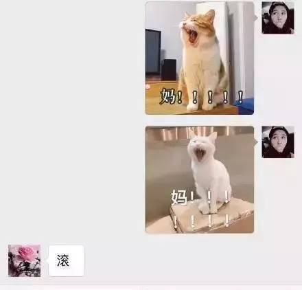 搞笑东北小女孩与父母对话,东北父母搞笑对话