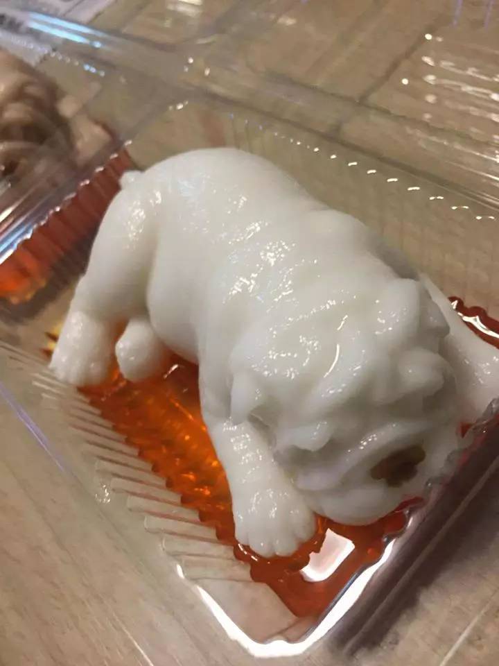 果冻沙皮狗,沙皮狗牛奶果冻