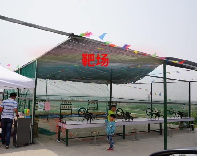 采摘园摘桑葚吃,桑椹采摘园吃桑椹