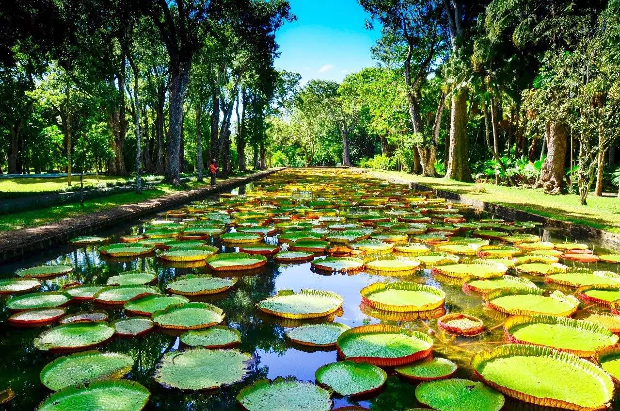 到了毛里求斯要怎么玩,毛里求斯旅游怎么去最划算