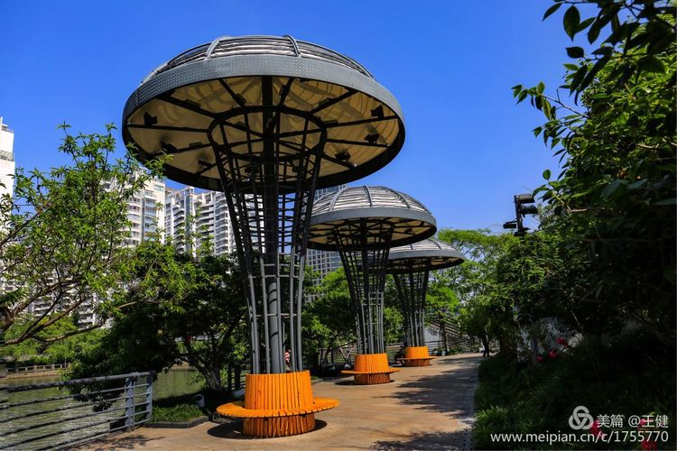 璇楃敾姹熷崡鎷嶆憚鏃堕棿,璇楃敾姹熷崡缁樼敾鍒涗綔