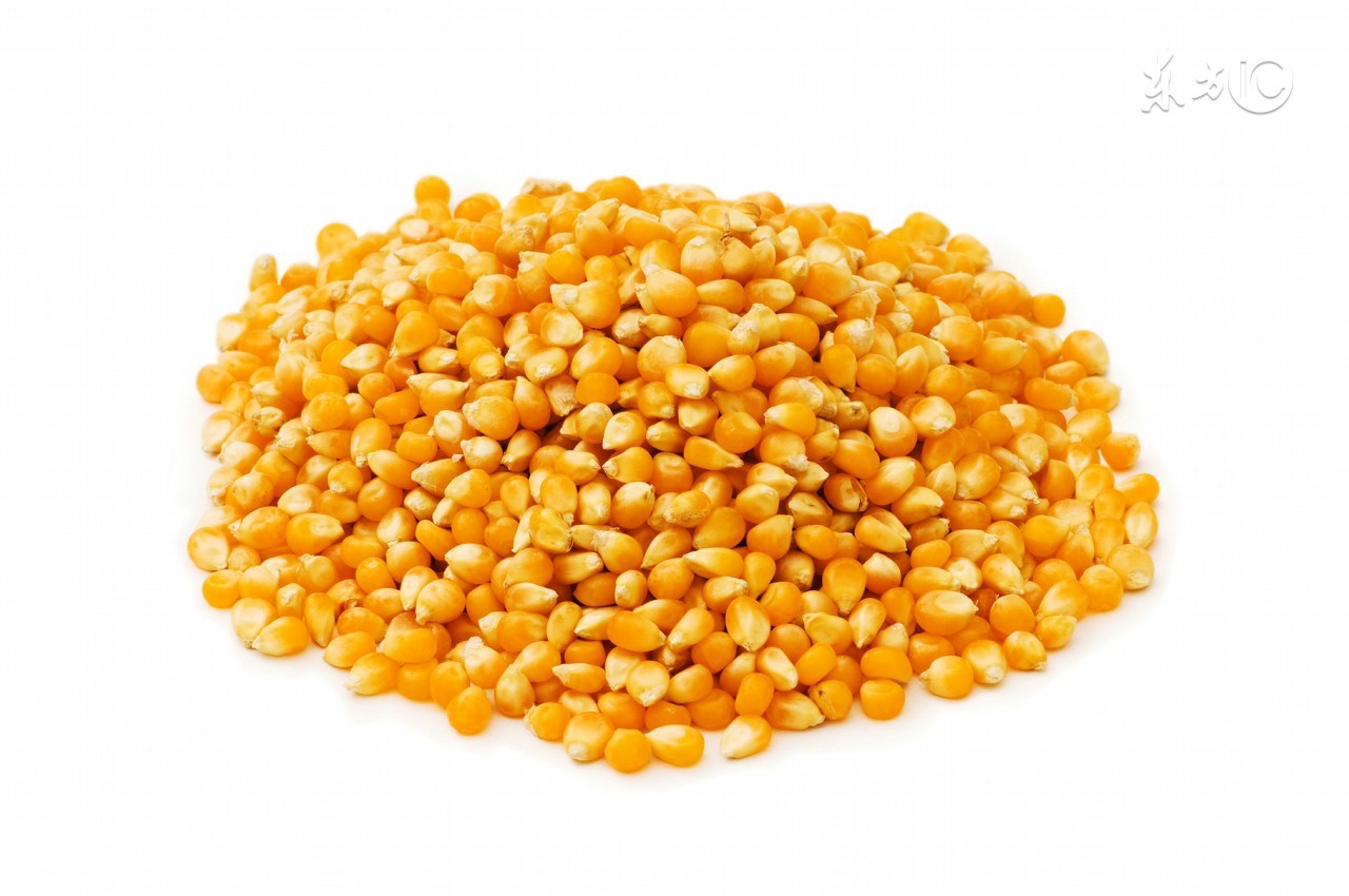 饲料中的霉菌毒素怎么去除,饲料霉菌毒素的危害