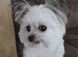 咽口水强迫症,总是想咽口水强迫症