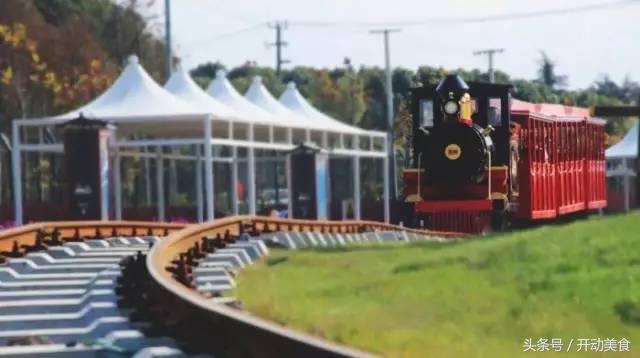 上海迪士尼小镇好吃的好玩的,上海迪士尼度假区周边美食