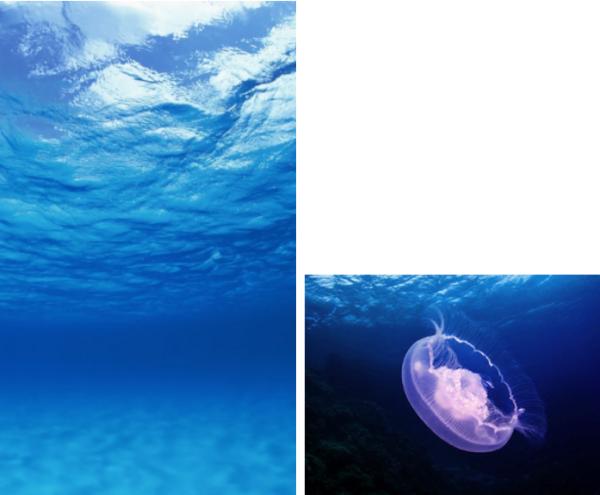 ps里蒙版怎么弄成选区,ps蒙版画笔的使用方法