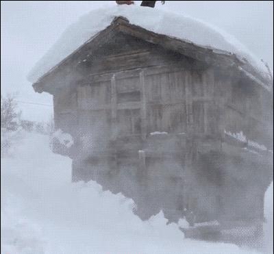 瓜子脸有那么好看吗,为什么大家都是瓜子脸