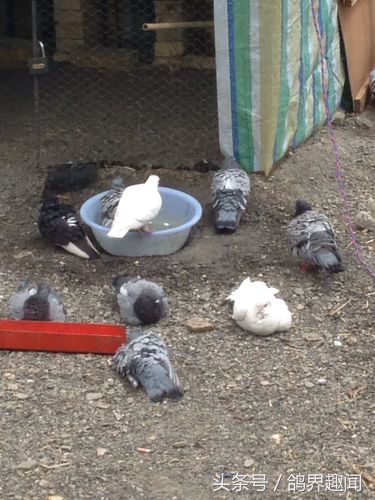 涨知识和方法,涨知识的秘诀