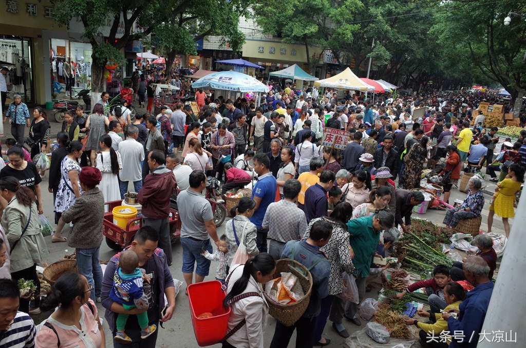 神奇的“黑根”,德昌端午节寻常百姓家药膳必备