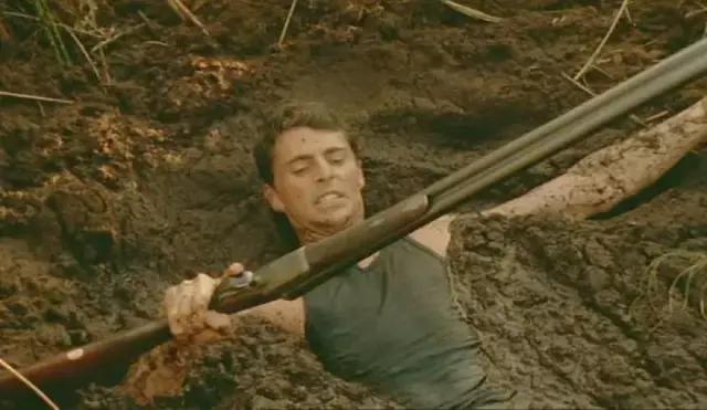 我的不靠谱家人，以及蛇、老鼠、蜥蜴、猫头鹰等其他动物