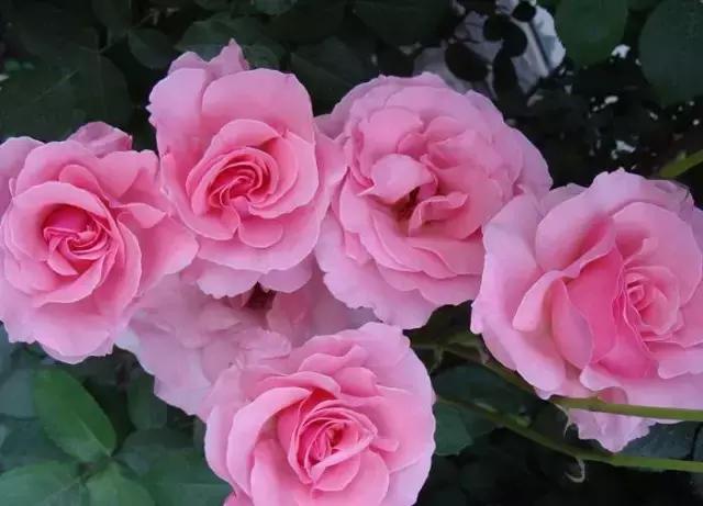 你是不是正宗的淮南人！一道题就能证明！