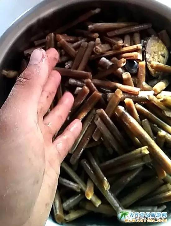 大连海岛趣事：这种海鲜，玩起来比吃都过瘾