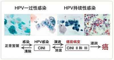 不管你同不同意语录,不管你同不同意