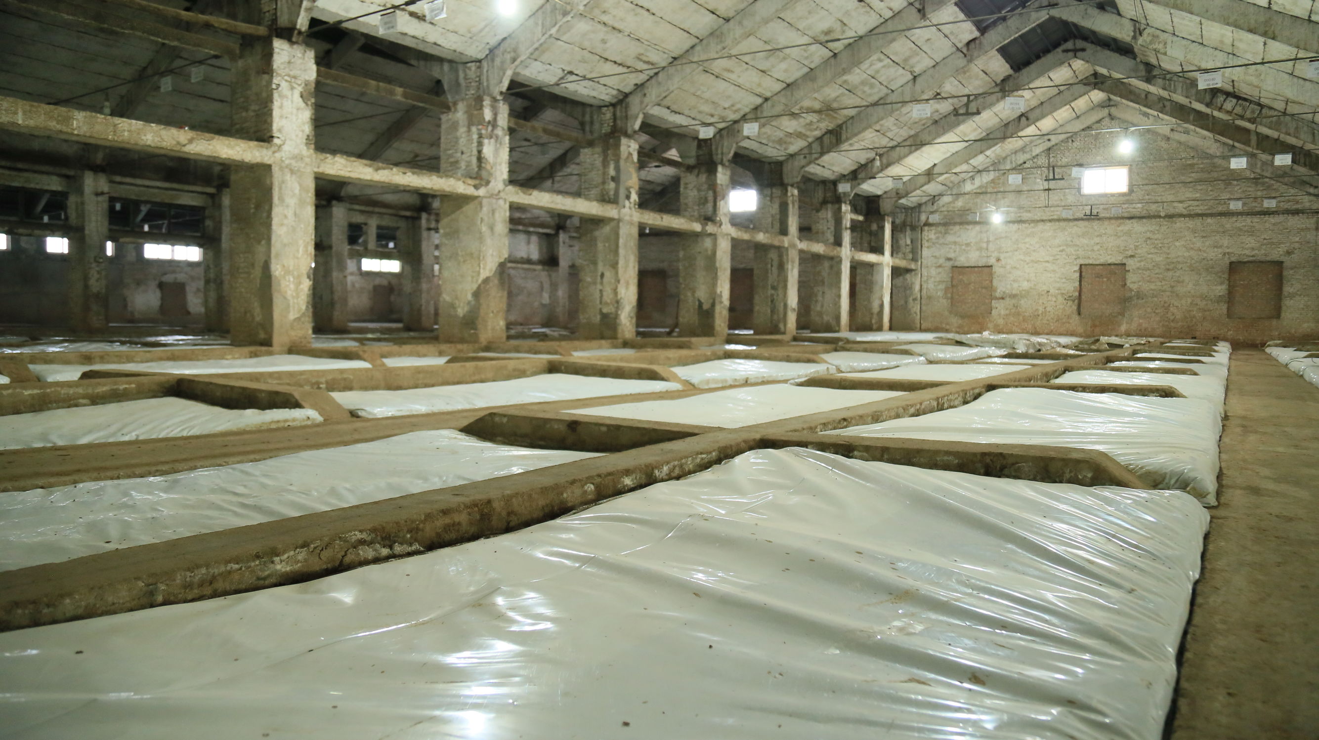 百闻不如一见揭秘洋河的绵柔秘籍,洋河绵柔鼻祖