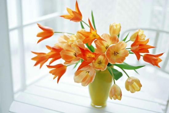 直肠脱垂视诊,直肠脱垂诊疗指南与规范