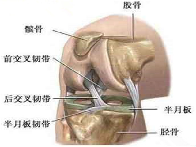 父母膝盖疼是什么原因,父母腿疼膝盖疼怎么办