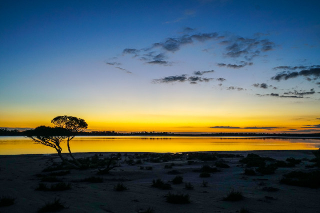 澳洲｜有人在澳大利亚住了一辈子，也没有听说过这样的生活方式