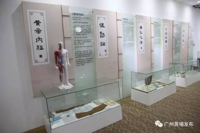 比同仁堂还长七岁!走进白云山中一展厅,探秘岭南中药“活化石”