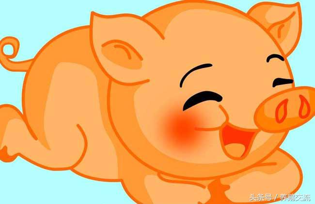 95年属猪的属相婚配表,71年属猪最佳婚配属相