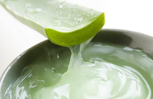 芦荟怎么自制面膜,芦荟黄芪当归祛痘面膜