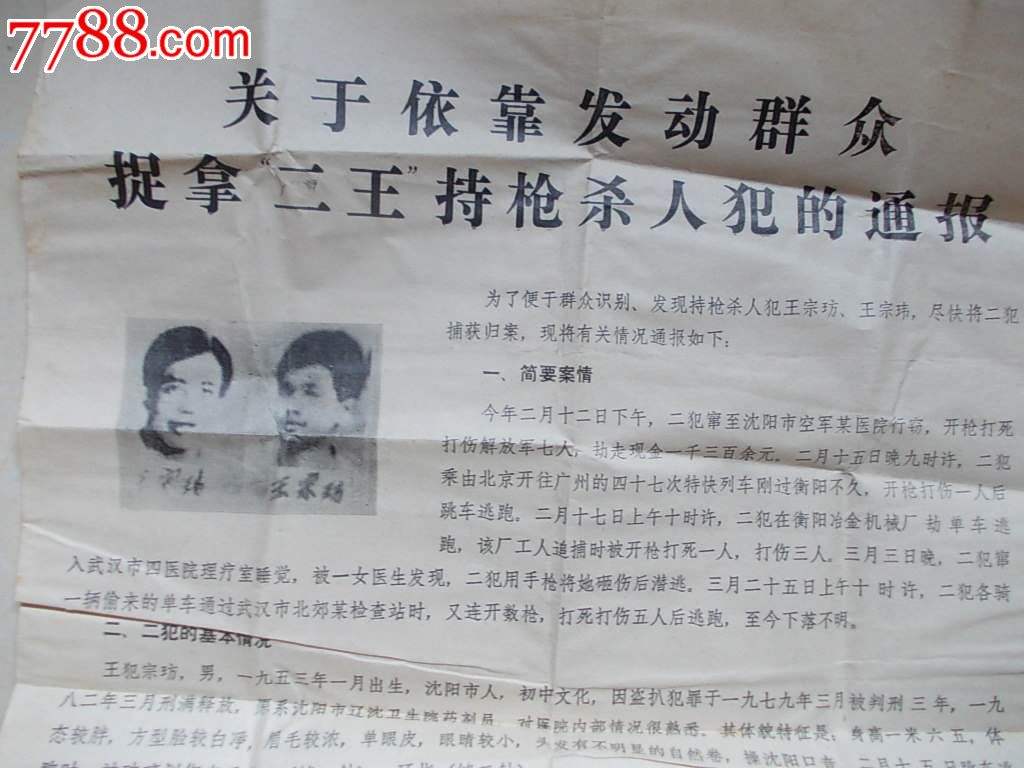 东北二王大案纪实完整版,东北二王大案回眸