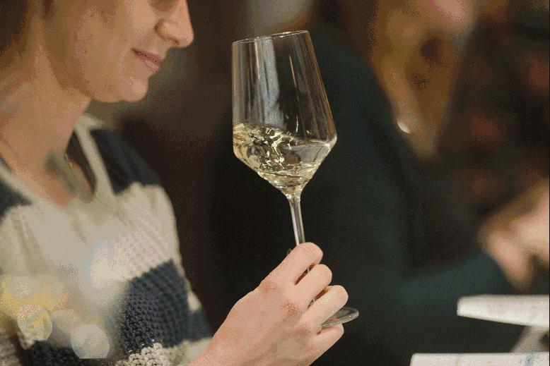 哪款雷司令最好,新手买哪款雷司令