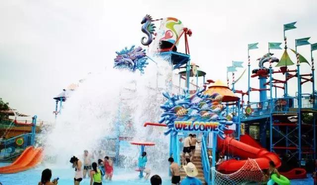 南京的夏天是个美丽的地方,南京的夏天依旧很美