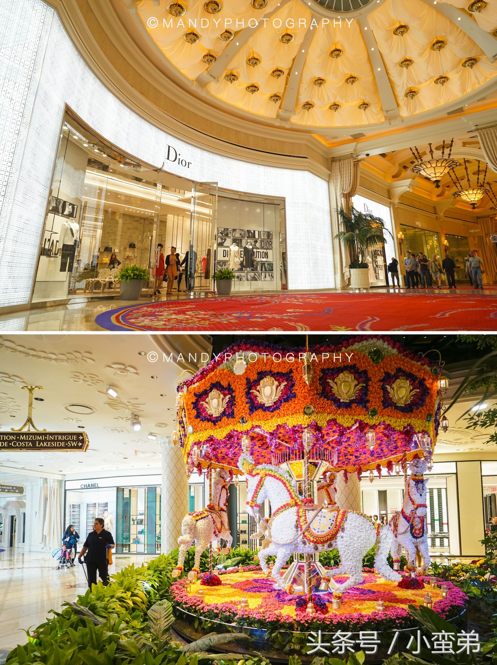 美国一周游玩攻略,美国旅游攻略拉斯维加斯