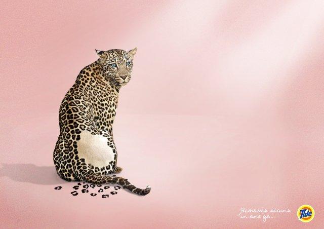 洗衣液广告模板创意视频,cctv1蓝月亮洗衣液广告