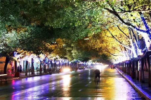 夜跑夜美丽（下）