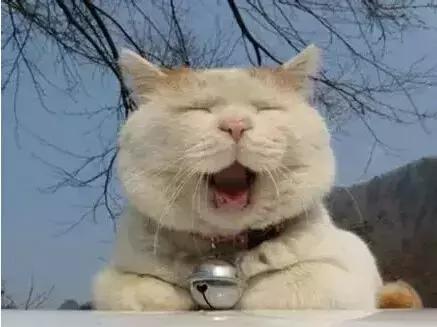 职场表情包朋友圈,职场表情包套装