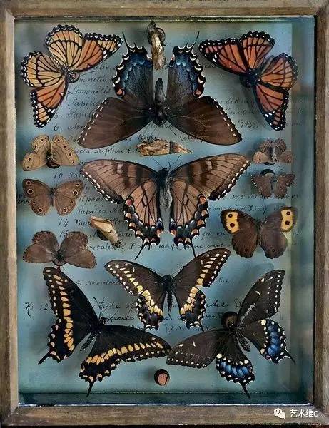 你猜猜，几百年前人们是怎么收藏的？