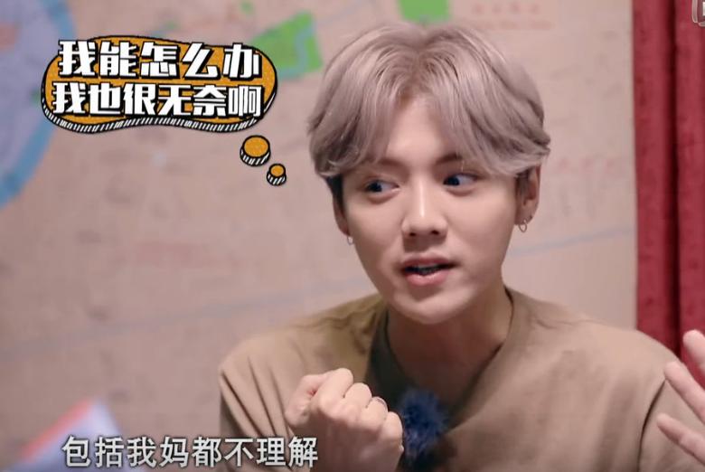 鹿晗选择女嘉宾,应采儿鹿晗李晨综艺节目是什么