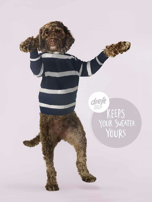 洗衣液广告模板创意视频,cctv1蓝月亮洗衣液广告