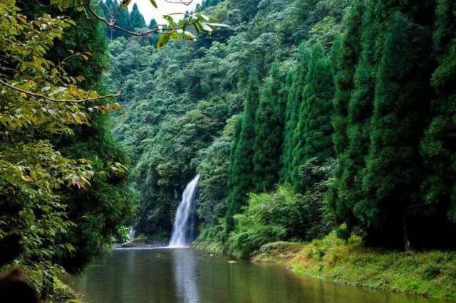 成都周边免费森林自然景点,成都森林避暑好去处