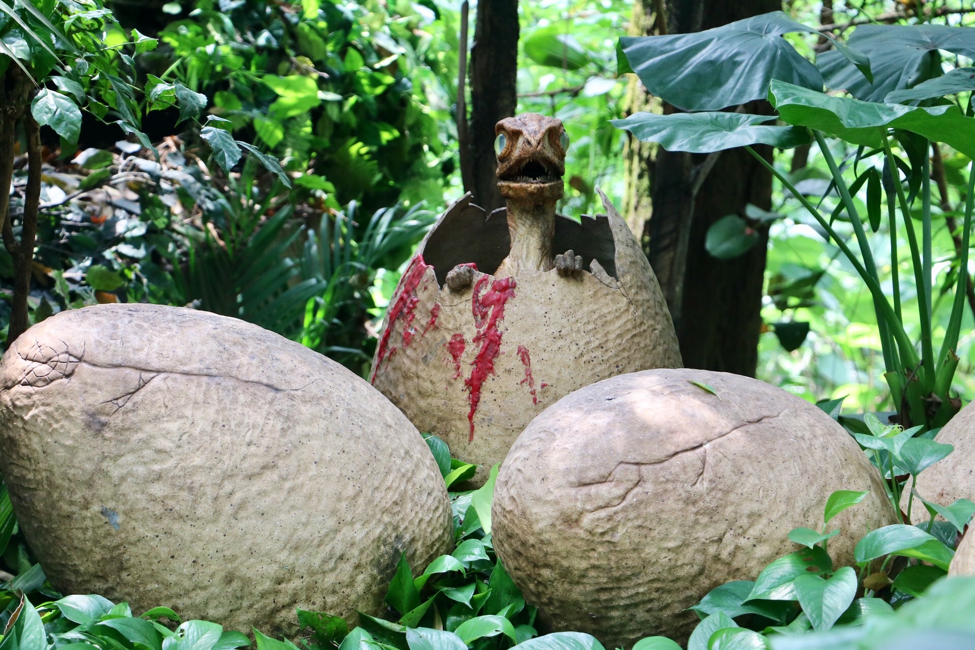 一月广州长隆野生动物园游玩攻略,长隆海洋王国不可错过