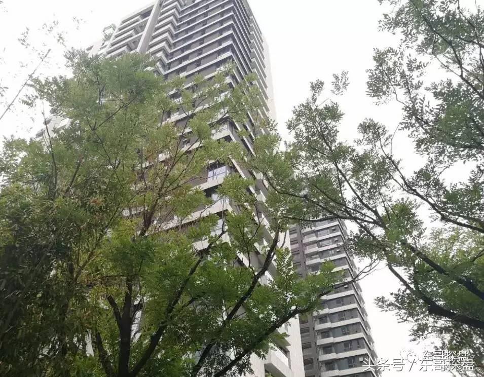 “郑州北三环黄金走廊”：能否托起郑州北部腾飞的红太阳？