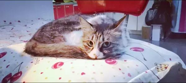 一直觉得自己名字很好,一直觉得自己的名字很好听