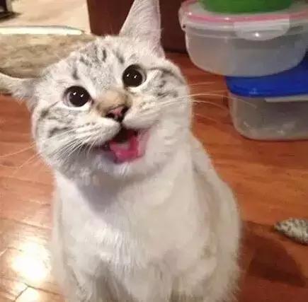 职场表情包朋友圈,职场表情包套装