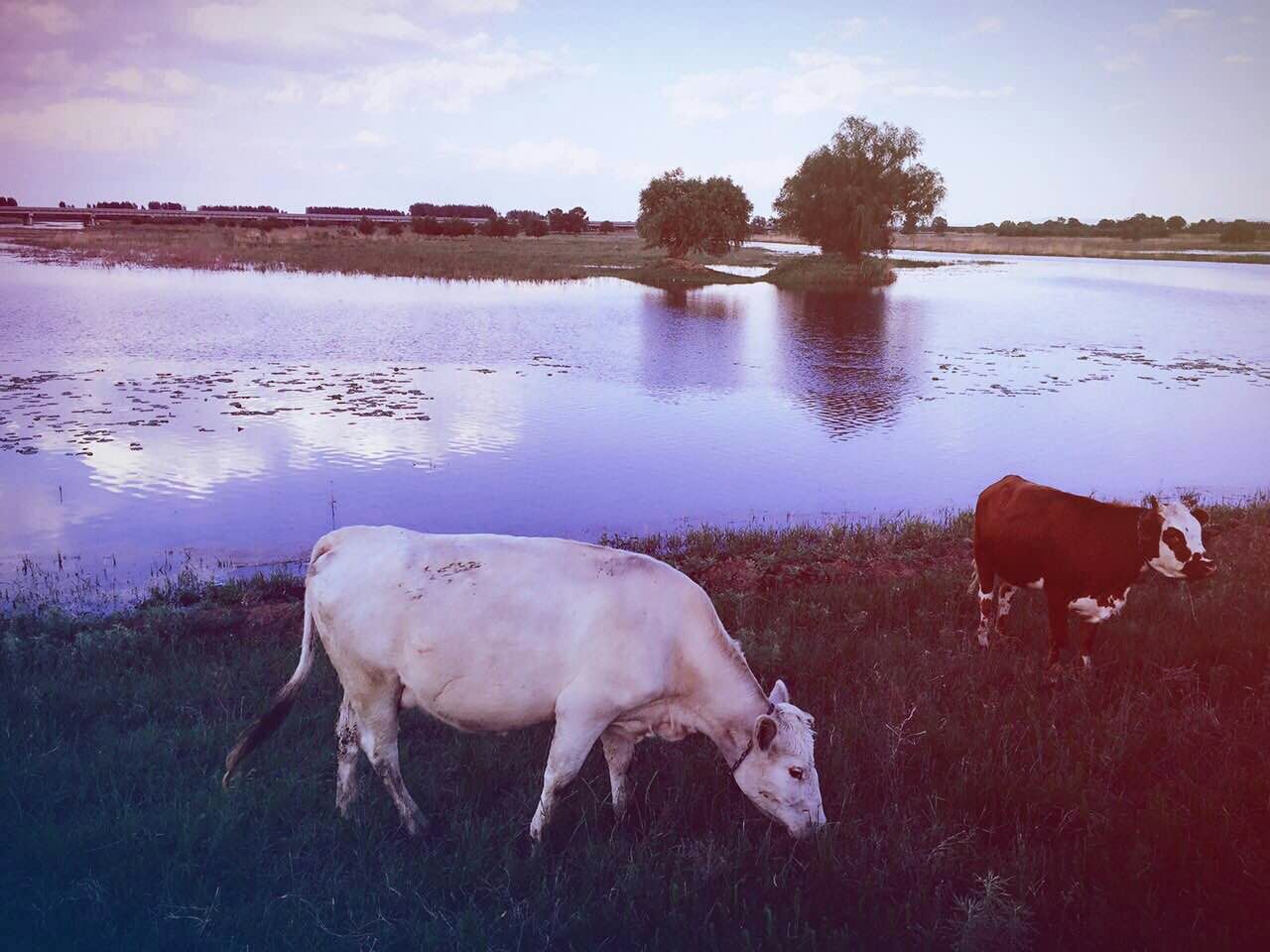 中国半农俱乐部首聚沈北，并将建造‘半农理想间’民宿