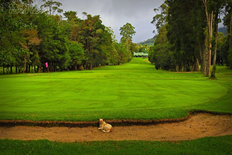 印度洋岛国上的小英格兰，浓浓英伦风，凉爽避暑地！
