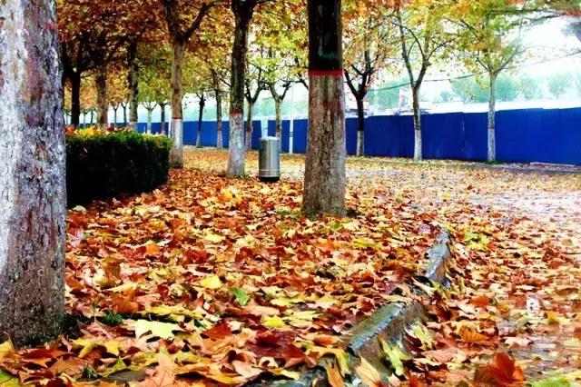 中国航天五零四所介绍,中国航天五零四研究所