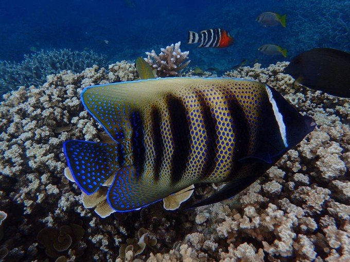 带着思念去旅行完整版,带着思念去海边