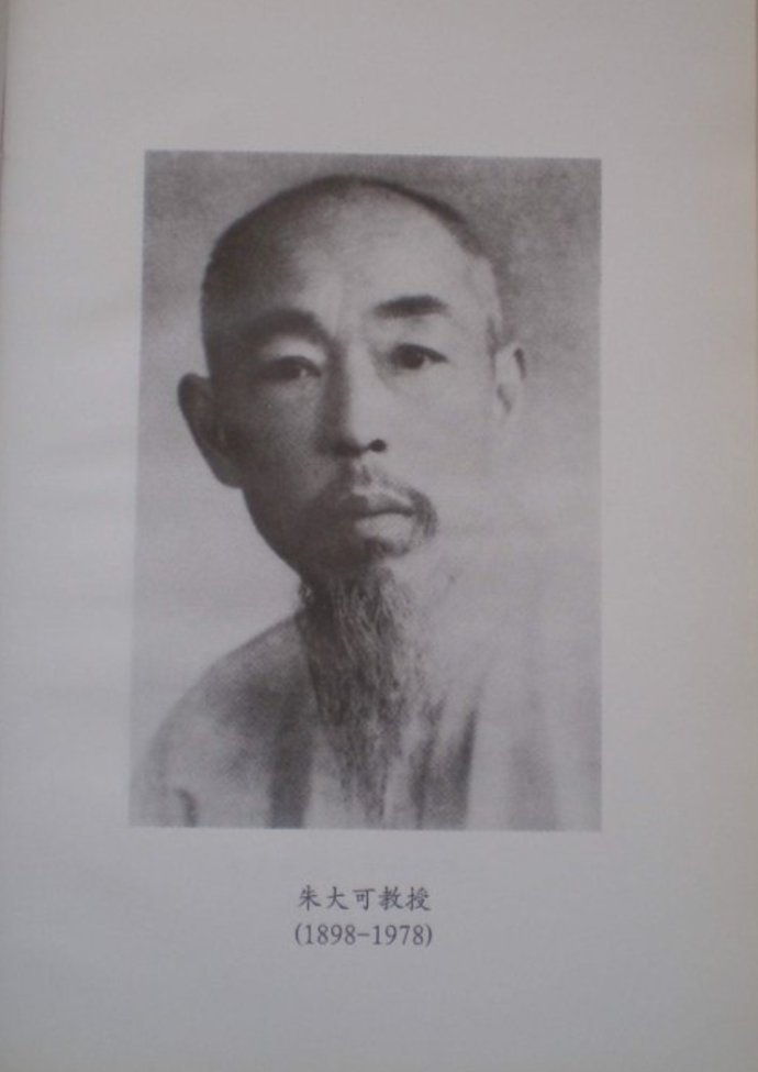 朱大可评价皇帝,朱大可的文化批评