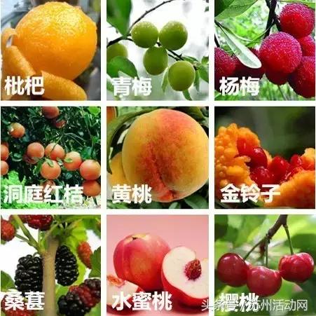 苏州是不是副省级城市,苏州是一座怎样的城市