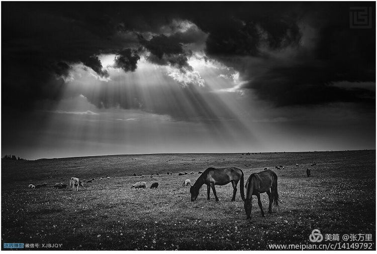 美丽*疆新**100张——美在雪山，美在草原，美在戈壁，美在心灵！