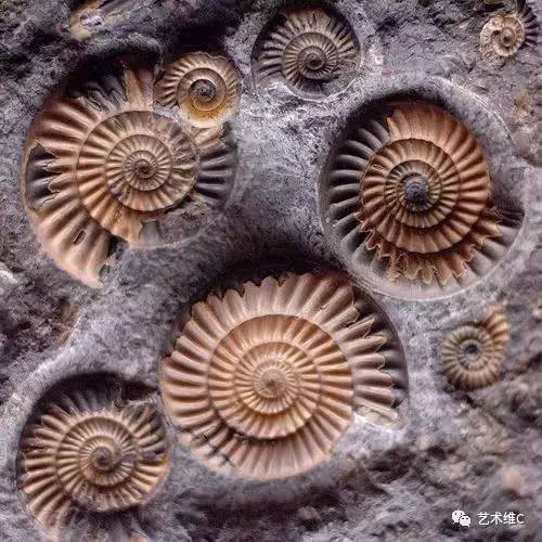 大英博物馆柜子,大英博物馆家具是什么