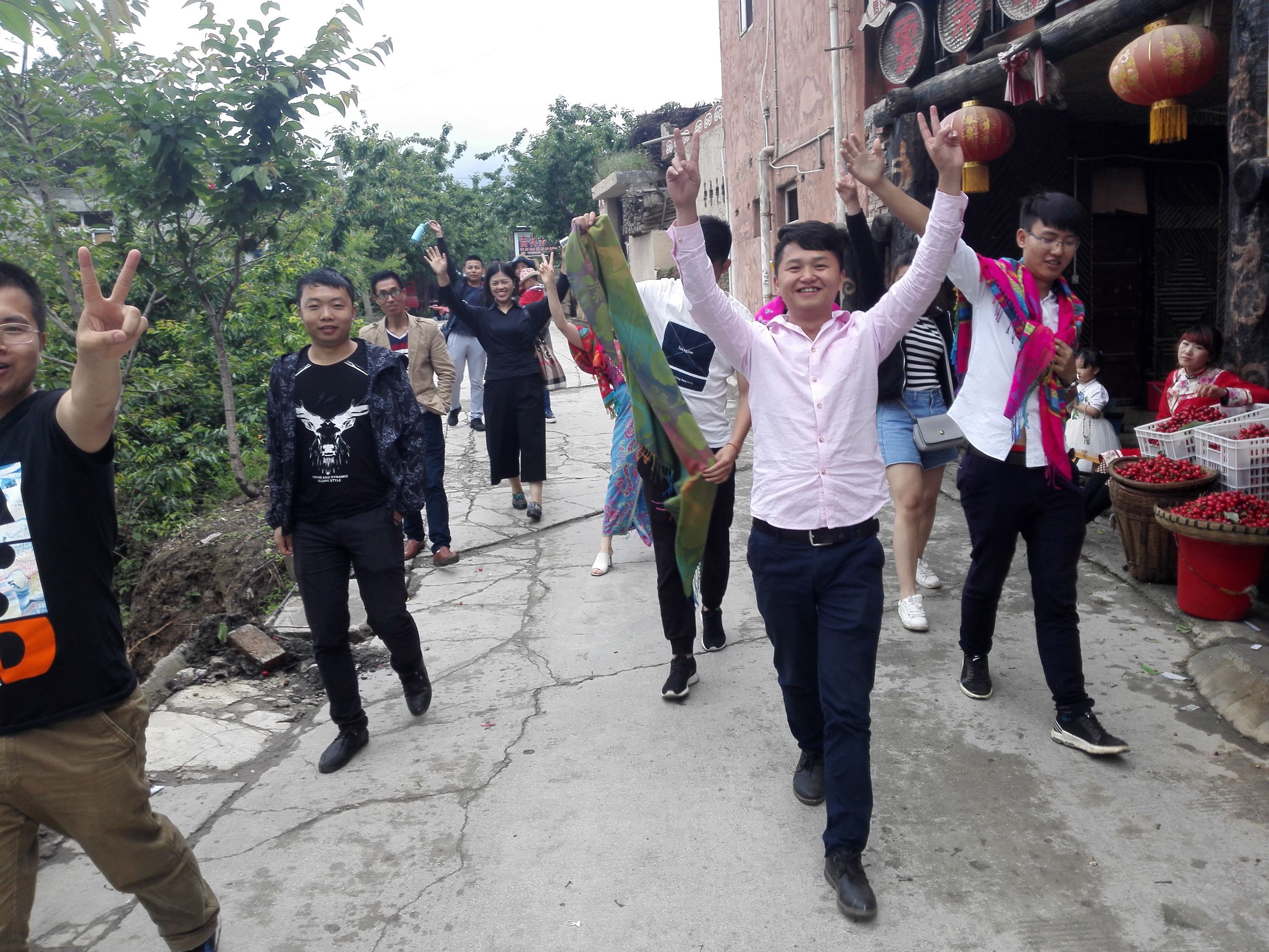 自驾车游汶川七盘沟摘车厘子,汶川萝卜寨自驾游攻略